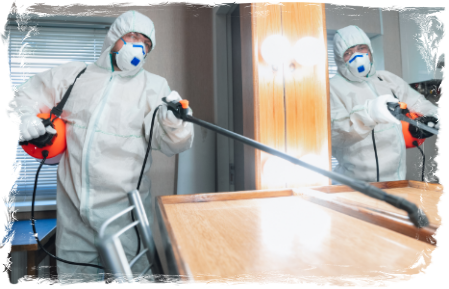 pintura aseo obra instalaciones pisos techos limpieza