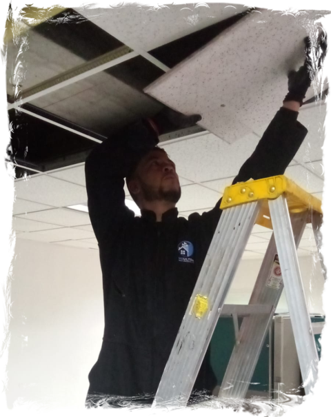 Reparaciones locativas pintura instalaciones pisos limpieza obra